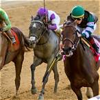 what is a trifecta bet in horse racing